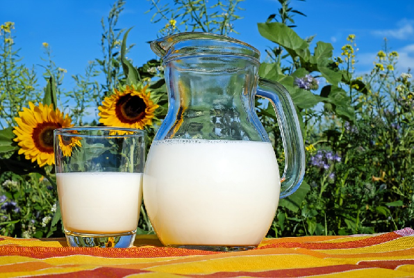 Primjeri potpora u mljekarstvu
