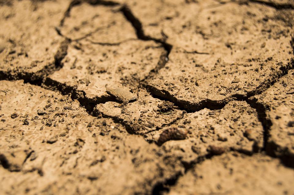 Pozivamo Županije da proglase prirodne nepogode od suše koja je nanijela ogromne štete poljoprivredi