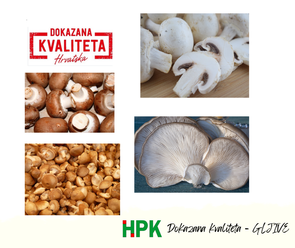 Dokazana kvaliteta – GLJIVE